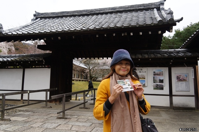[單車拖車的無限可能]  2013 Bike·桜·京都  (2nd Day)