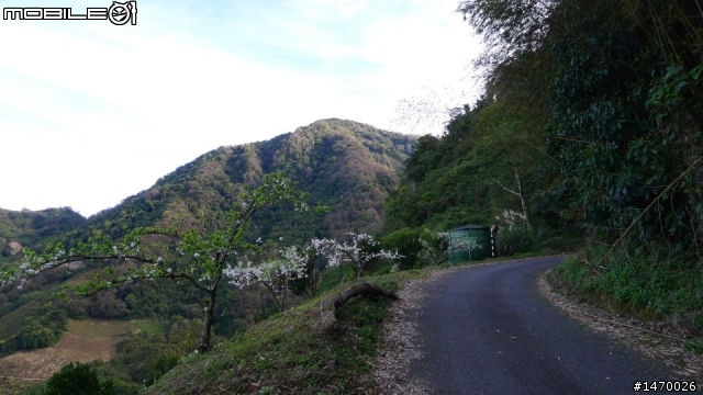 瘋狂舉指 狂樂遊 NO2 司馬限林道 消失的白色聖稜線