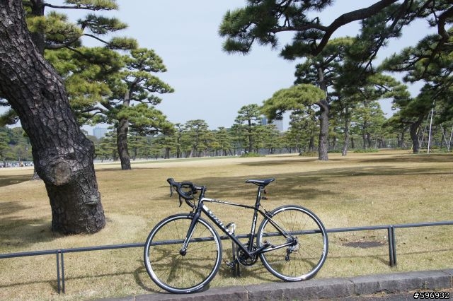 2013 DEFY 3 開箱 + 賞櫻花 + 台場彩虹大橋 一日遊