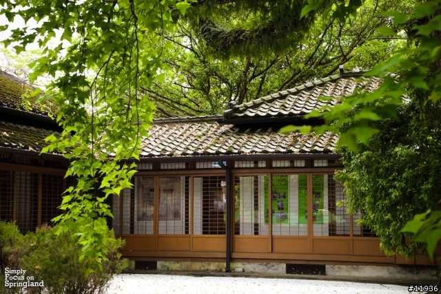 [試駕文]THE ALL-NEW FOCUS-純粹的春天山道旅遊(宜蘭.梨山.花蓮)..圖多文少