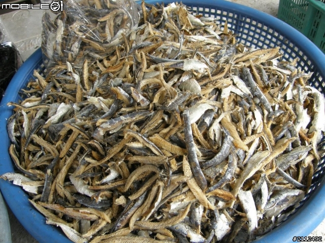 高雄興達漁港.~~花蟹.透抽.生魚片