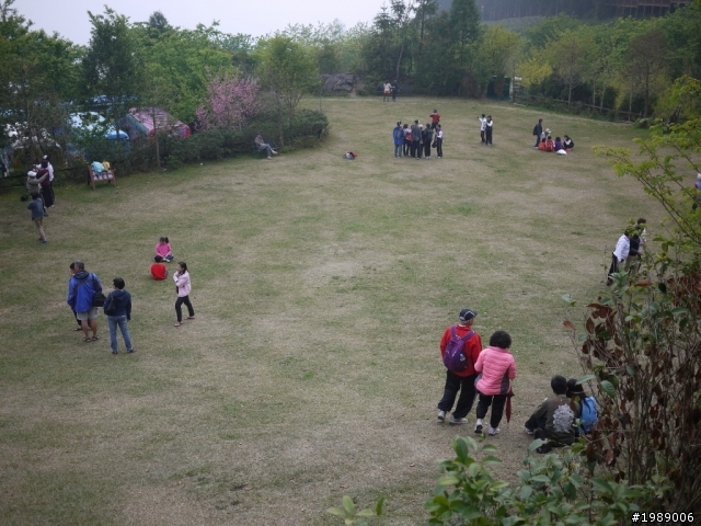 福特FOCUS 24小時試駕-造訪高空中的花園 新竹山上人家