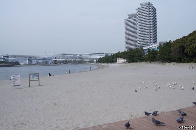 2013 DEFY 3 開箱 + 賞櫻花 + 台場彩虹大橋 一日遊