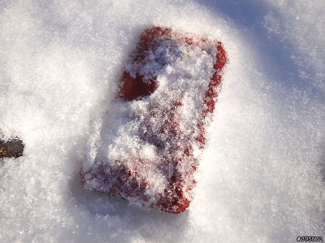 [搏版面] 踏上敵國領土的雪中紅...蝴蝶~