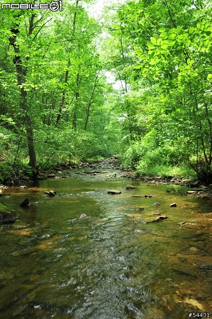 在日本露營-1.緣起與選購