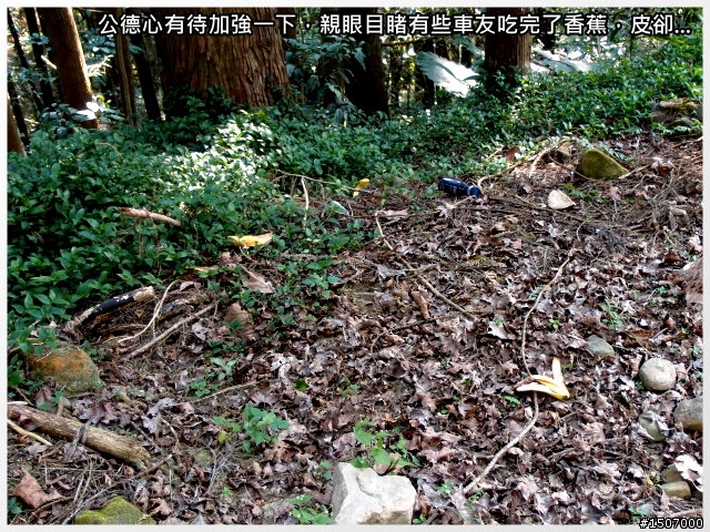 南投2013杉林溪自行車挑戰賽