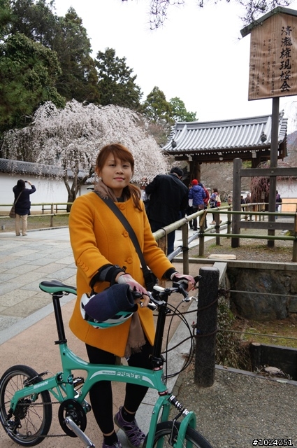 [單車拖車的無限可能]  2013 Bike·桜·京都  (2nd Day)