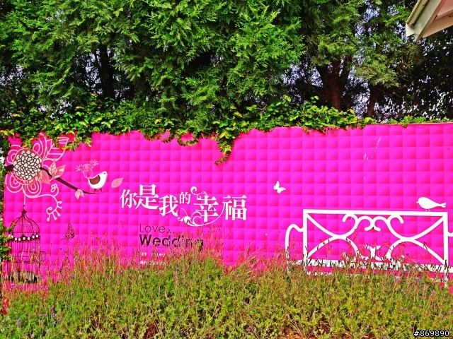 2013 THE ALL-NEW FOCUS 24小時免費開回家-【136縣道篇】