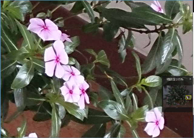 照片在XPERIA  Z上看和電腦上看差很大啊。