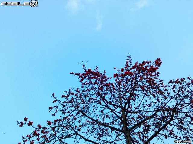 Nokia lumia 920隨手照(多圖)