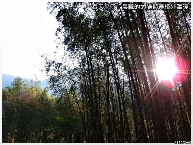 南投2013杉林溪自行車挑戰賽