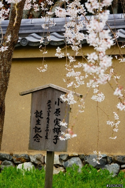 [單車拖車的無限可能]  2013 Bike·桜·京都  (2nd Day)