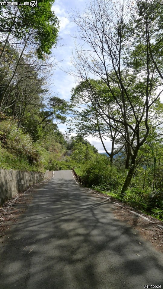 瘋狂舉指 狂樂遊 NO2 司馬限林道 消失的白色聖稜線
