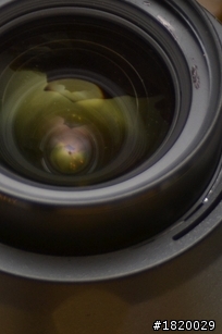 nikon 17-55mm f2.8