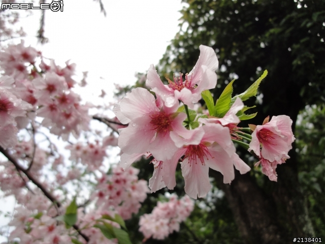 小摺趴趴騎  2013 3/24