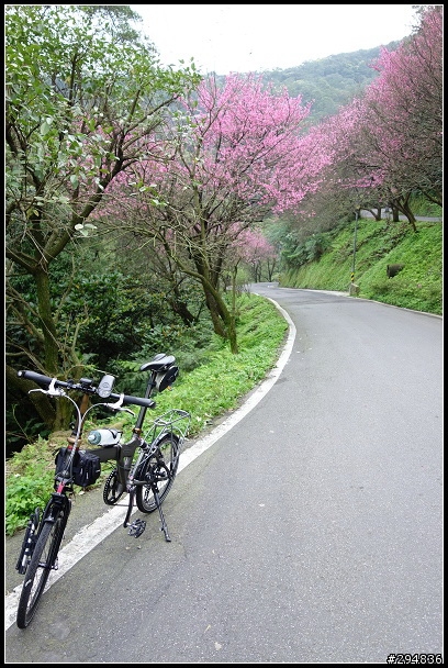 2013.03.01【單車遊記】汐止大尖山‧賞櫻之旅