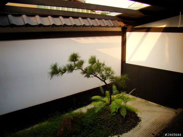 一日FOCUS，一日旅行。福特帶我們輕旅行