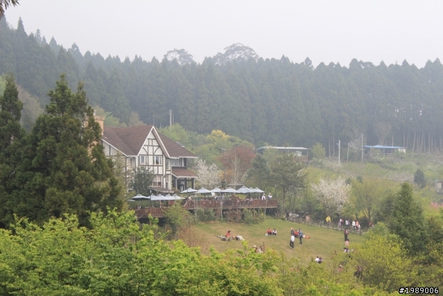 福特FOCUS 24小時試駕-造訪高空中的花園 新竹山上人家