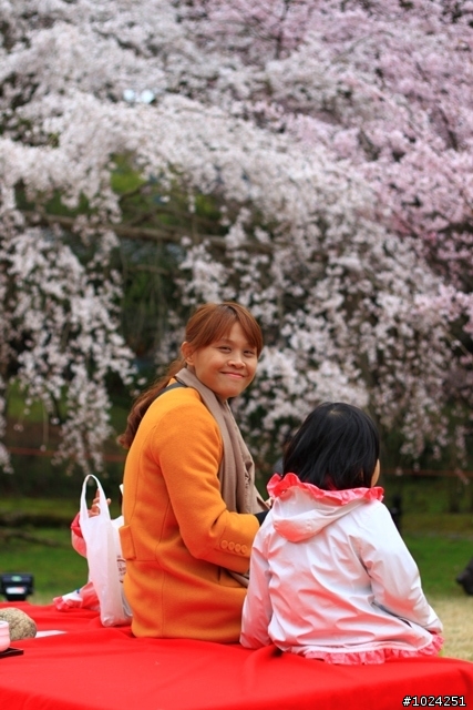 [單車拖車的無限可能]  2013 Bike·桜·京都  (2nd Day)