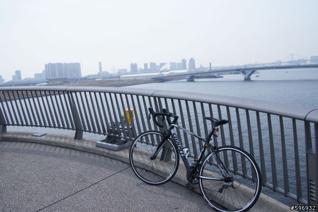 2013 DEFY 3 開箱 + 賞櫻花 + 台場彩虹大橋 一日遊