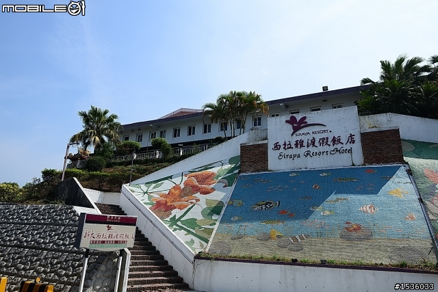 2013年烏山頭水庫櫻花季