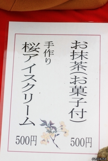 [單車拖車的無限可能]  2013 Bike·桜·京都  (2nd Day)