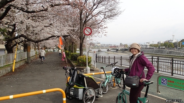 [單車拖車的無限可能] 2013 Bike·桜·京都 (4th Day)
