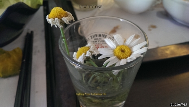 新HTC ONE瘋拍照，一起來分享照片