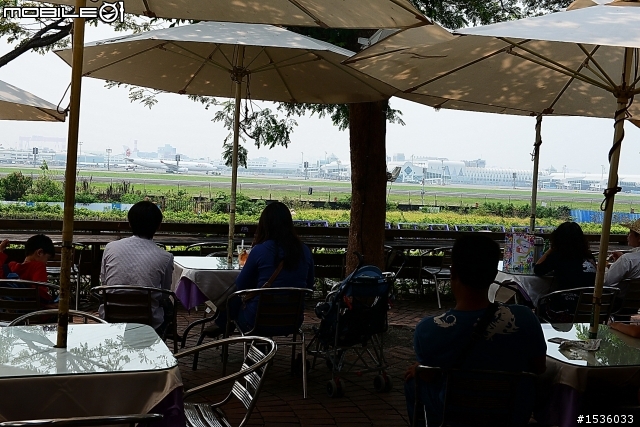 高雄淨園機場咖啡看飛機