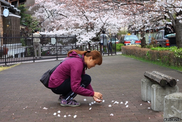 [單車拖車的無限可能] 2013 Bike·桜·京都 (3rd Day)