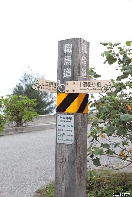 全 台 最 美 的 自 行 車 道 -台 東  山 海 鐵 馬 道
