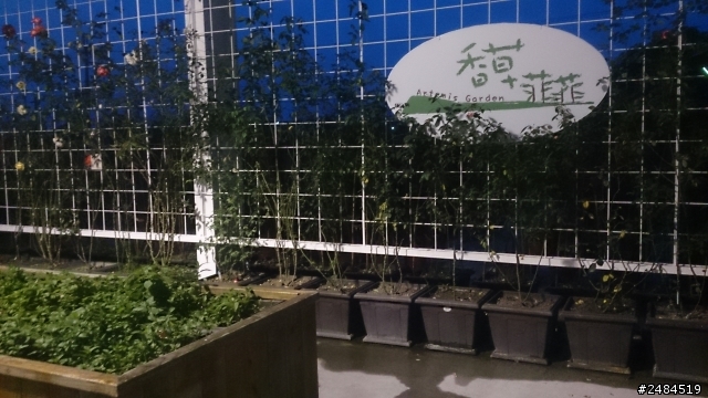 ALL-NEW FOCUS 24小時免費開回家 宜蘭