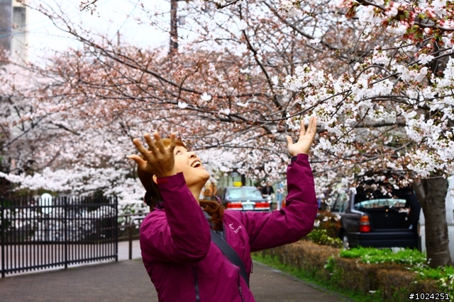 [單車拖車的無限可能] 2013 Bike·桜·京都 (3rd Day)