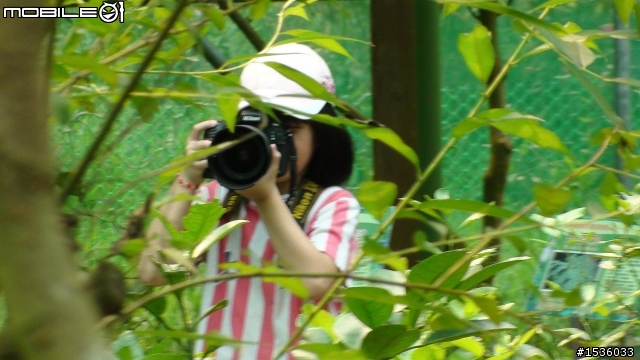 八歲女兒拍的照片