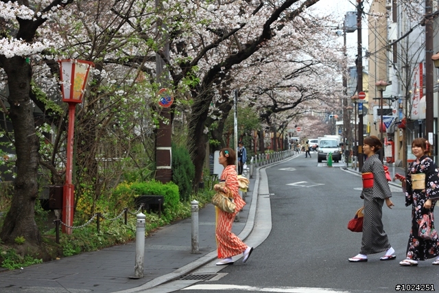 [單車拖車的無限可能] 2013 Bike·桜·京都 (3rd Day)