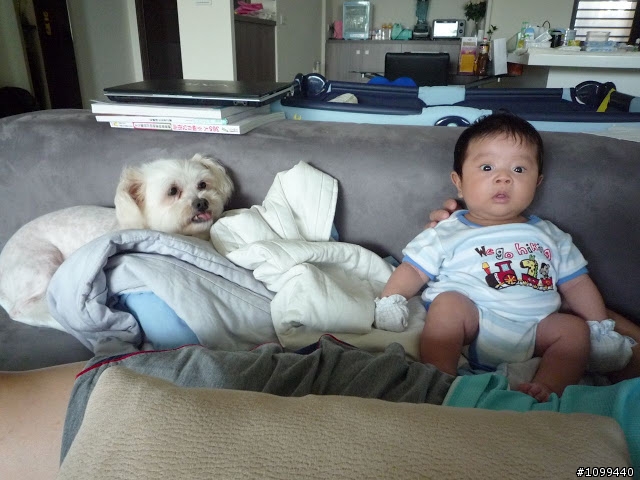 猋+一小犬=器 的生活集錦~