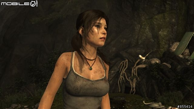 蘿拉的「蓬頭散髮」，古墓奇兵特效檢測by HD7770