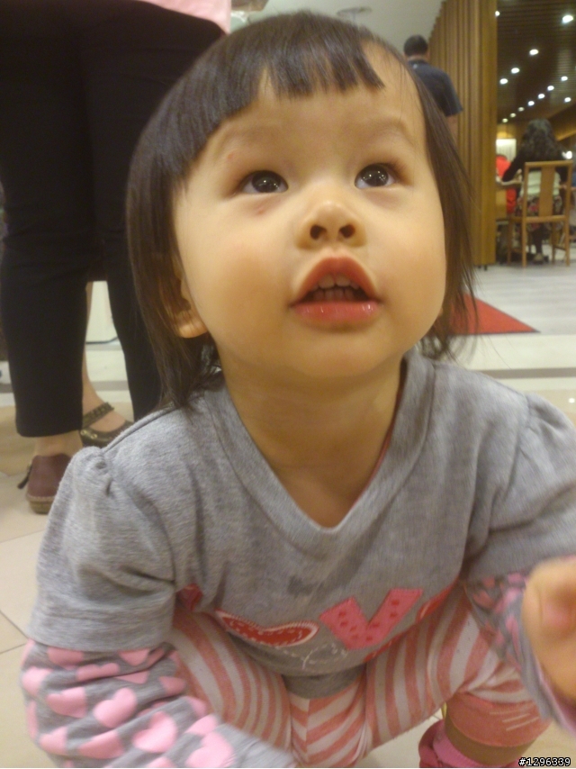 2013 THE ALL-NEW FOCUS 24小時免費開回家-【高雄逛逛街】