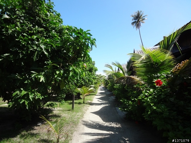2013_02 馬來西亞 馬布島 Mabul Island Malaysia