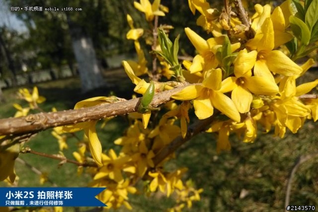 [米2s] 500萬畫素差在哪? 1300萬vs800萬.....轉貼文章