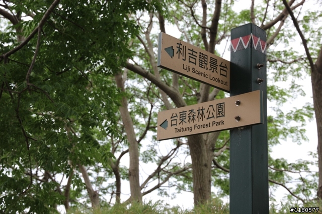 全 台 最 美 的 自 行 車 道 -台 東  山 海 鐵 馬 道