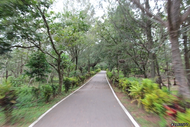 全 台 最 美 的 自 行 車 道 -台 東  山 海 鐵 馬 道