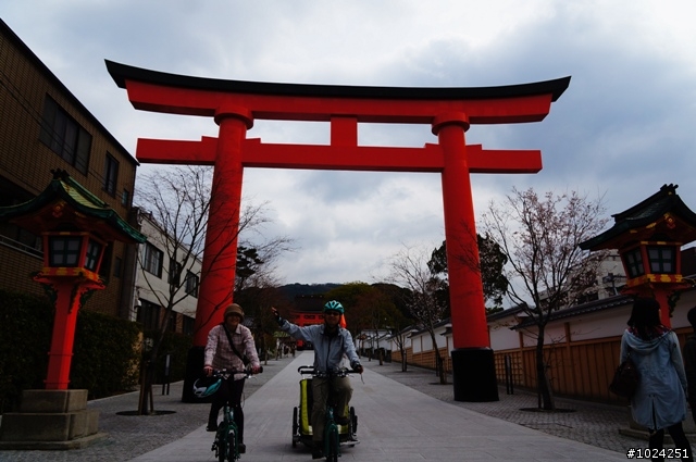 [單車拖車的無限可能] 2013 Bike·桜·京都 (4th Day)