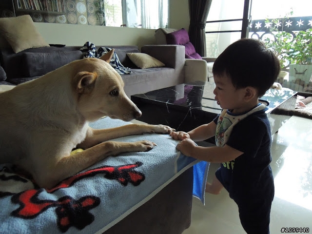 猋+一小犬=器 的生活集錦~
