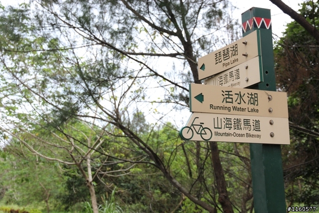 全 台 最 美 的 自 行 車 道 -台 東  山 海 鐵 馬 道