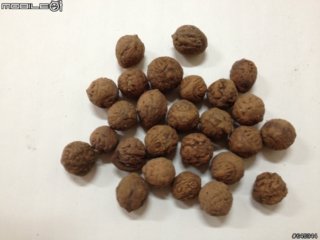 請問印度達人們知道去哪買這個東西？
