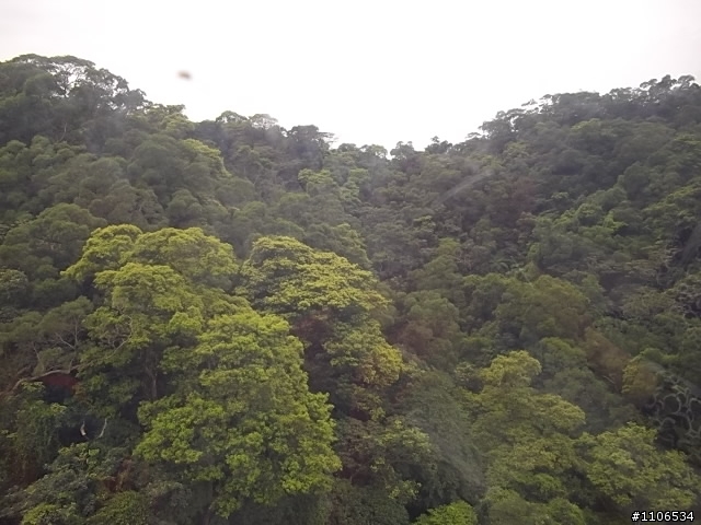 春雨洗塵 輕旅行~