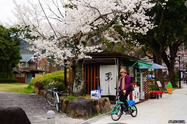 [單車拖車的無限可能] 2013 Bike·桜·京都 (4th Day)
