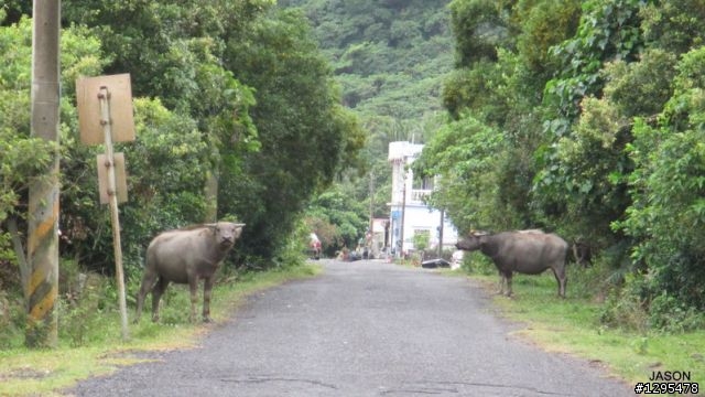[ J 的單車道 ]  20130421 恆春半島愜意行