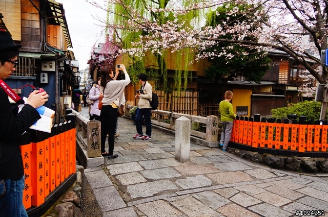 [單車拖車的無限可能] 2013 Bike·桜·京都 (3rd Day)